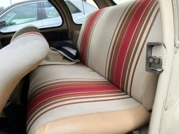 
										1975 Citroen 2CV full									