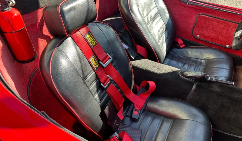 
								1983 Puma GTV full									
