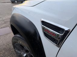 
										2020 Great Wall Steed 6 full									