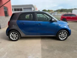 
										2019 Smart Forfour full									
