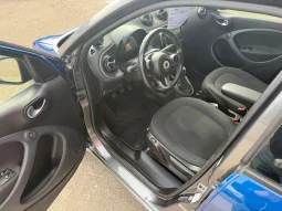 
										2019 Smart Forfour full									